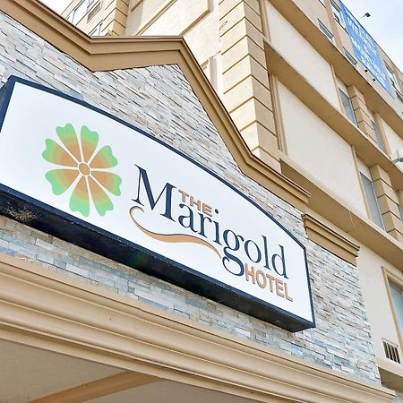 The Marigold Hotel Brampton Kültér fotó
