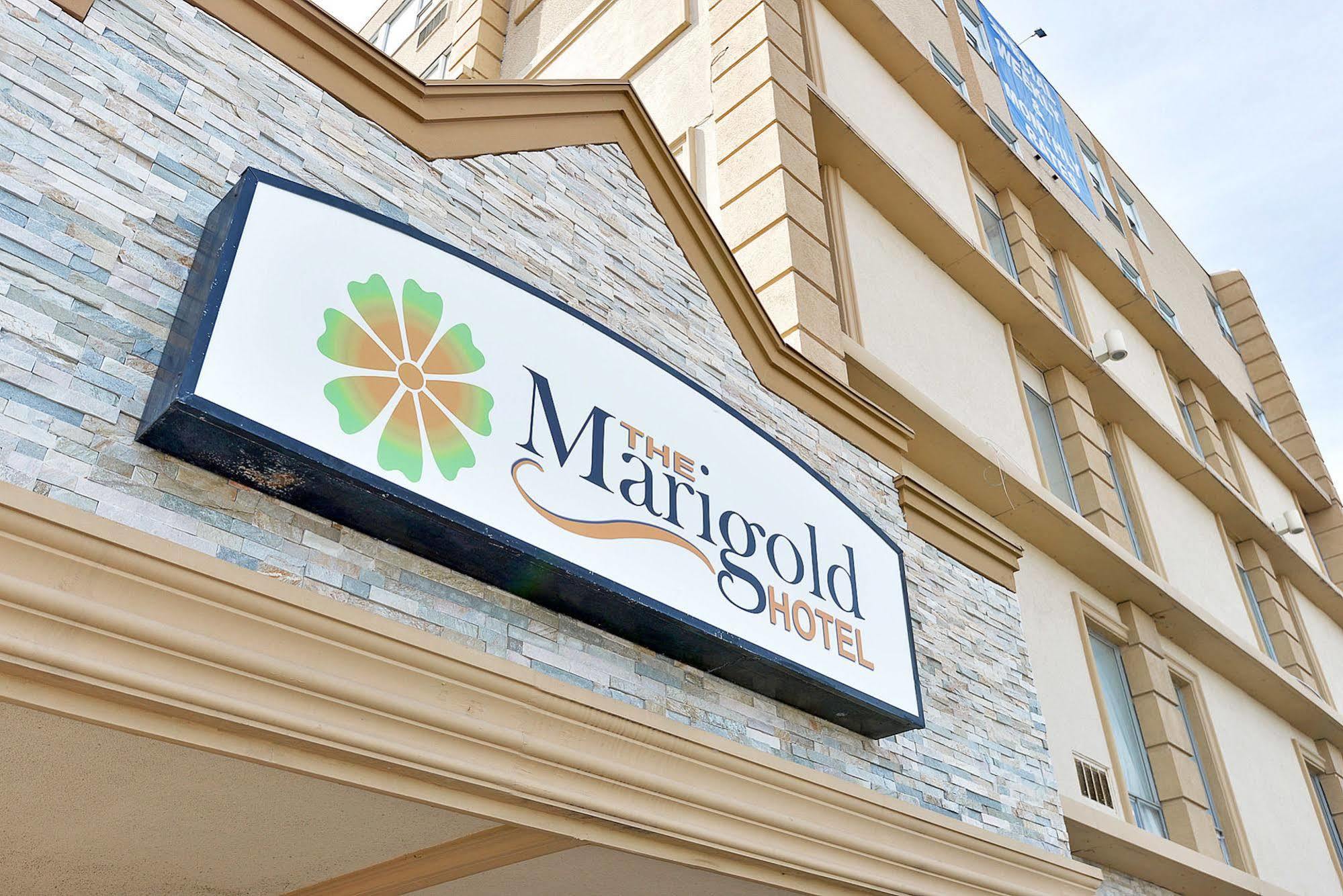 The Marigold Hotel Brampton Kültér fotó