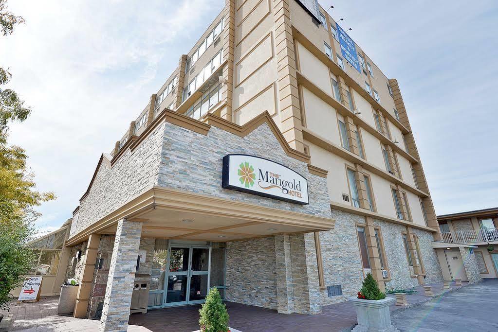 The Marigold Hotel Brampton Kültér fotó